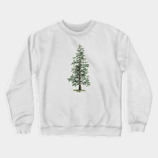 December birthday spruce tree Crewneck Sweatshirt